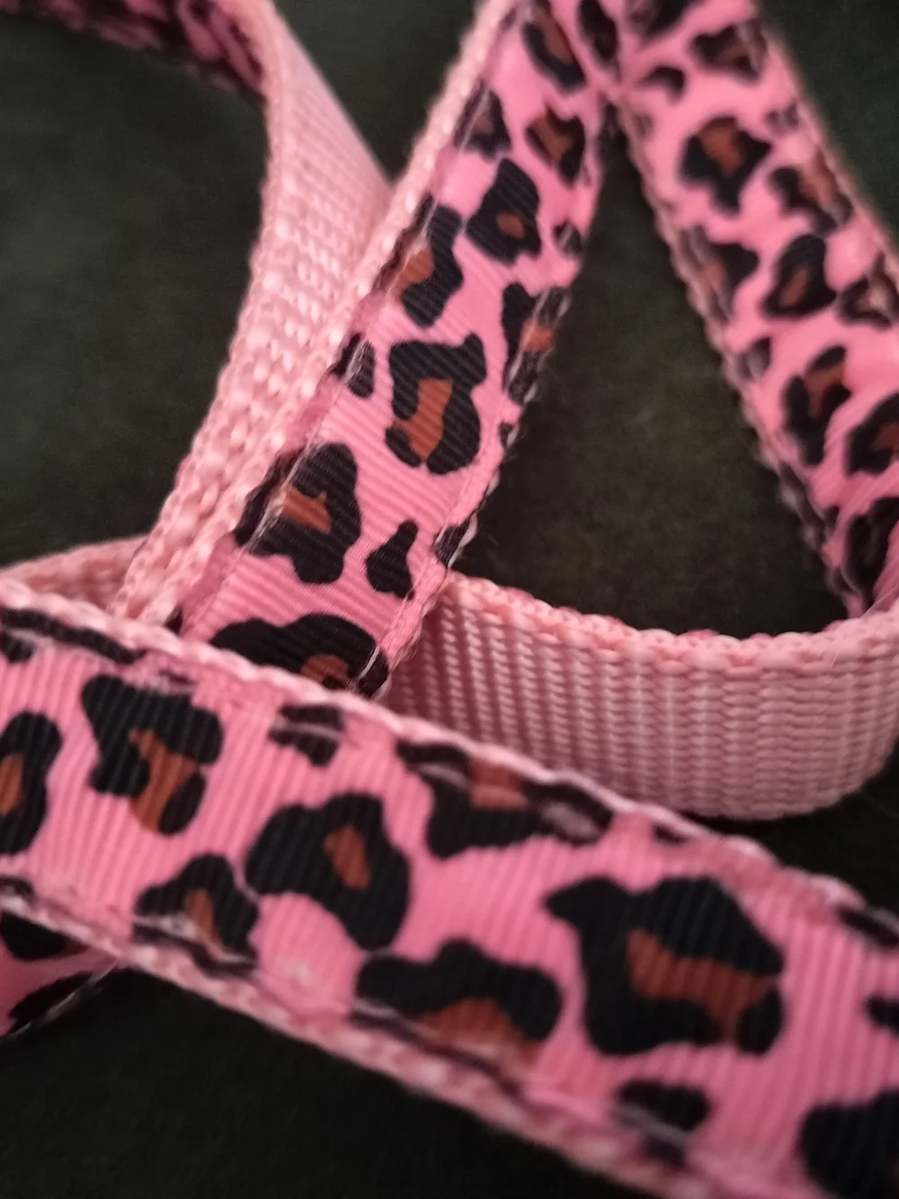 Sassy Dog Leash 3/4 in. Wide, Pink/ Leopard Print Nylon Webbing, 68 In. Long